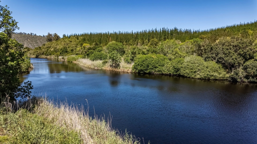 Commercial Property for Sale in Sedgefield Rural Western Cape